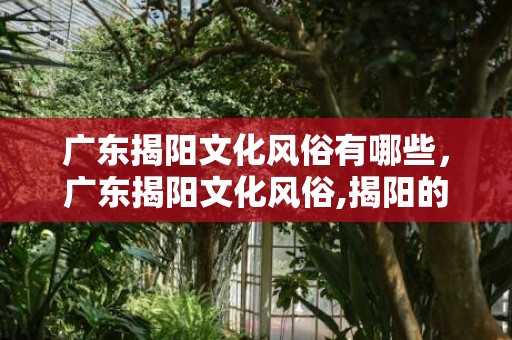 广东揭阳文化风俗有哪些，广东揭阳文化风俗,揭阳的节日习俗