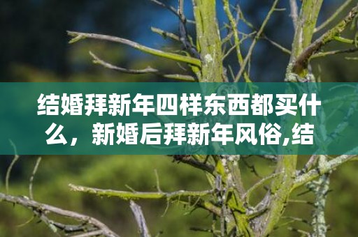 结婚拜新年四样东西都买什么，新婚后拜新年风俗,结婚第一年拜年的规矩