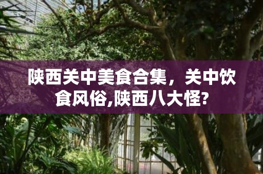 陕西关中美食合集，关中饮食风俗,陕西八大怪?