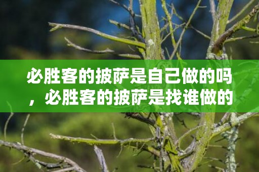必胜客的披萨是自己做的吗，必胜客的披萨是找谁做的