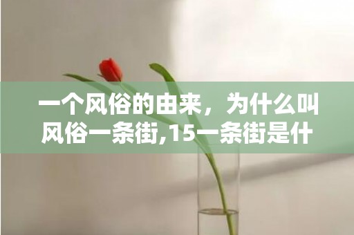 一个风俗的由来，为什么叫风俗一条街,15一条街是什么意思