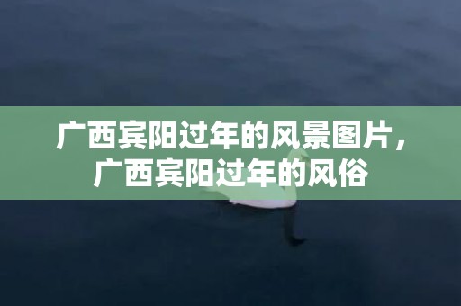 广西宾阳过年的风景图片，广西宾阳过年的风俗