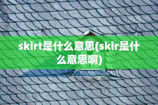 skirt是什么意思(skir是什么意思啊)