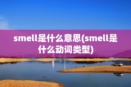 smell是什么意思(smell是什么动词类型)