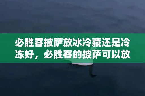 必胜客披萨放冰冷藏还是冷冻好，必胜客的披萨可以放冰箱冷冻保存吗
