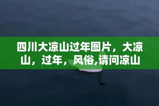 四川大凉山过年图片，大凉山，过年，风俗,请问凉山彝族今年好久过年？