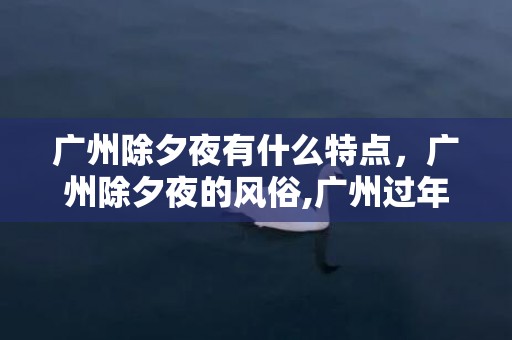 广州除夕夜有什么特点，广州除夕夜的风俗,广州过年风俗介绍