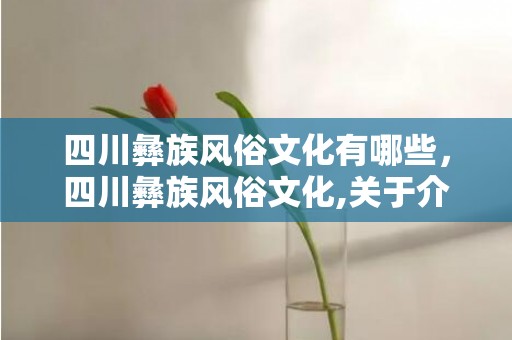四川彝族风俗文化有哪些，四川彝族风俗文化,关于介绍彝族的习俗与环境的小文章，550以内。