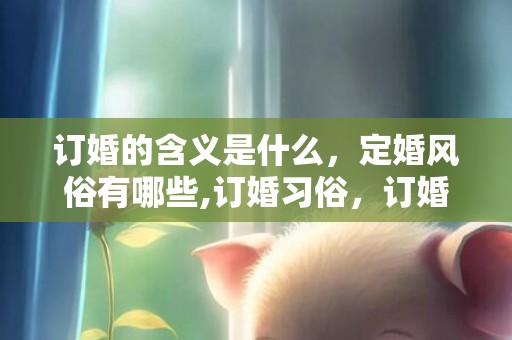 订婚的含义是什么，定婚风俗有哪些,订婚习俗，订婚习俗有哪些