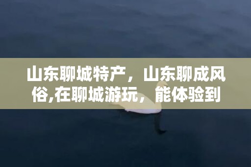 山东聊城特产，山东聊成风俗,在聊城游玩，能体验到哪些民俗活动？