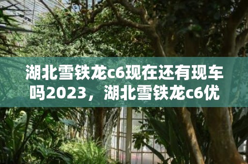 湖北雪铁龙c6现在还有现车吗2023，湖北雪铁龙c6优惠9万值得买吗