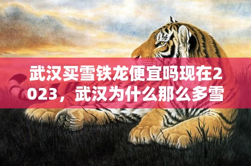 武汉买雪铁龙便宜吗现在2023，武汉为什么那么多雪铁龙