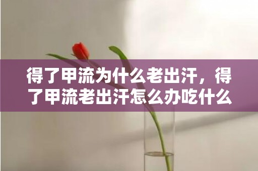 得了甲流为什么老出汗，得了甲流老出汗怎么办吃什么药