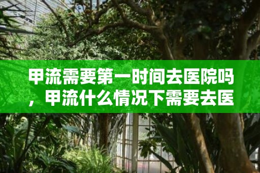 甲流需要第一时间去医院吗，甲流什么情况下需要去医院
