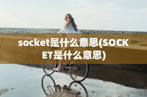 socket是什么意思(SOCKET是什么意思)