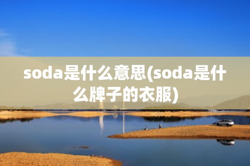 soda是什么意思(soda是什么牌子的衣服)