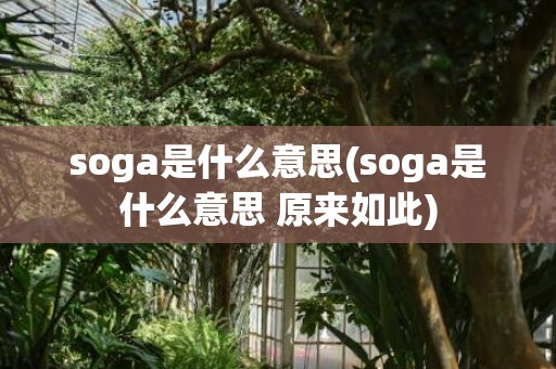 soga是什么意思(soga是什么意思 原来如此)