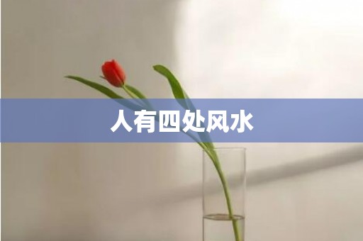 人有四处风水