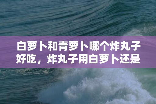 白萝卜和青萝卜哪个炸丸子好吃，炸丸子用白萝卜还是青萝卜