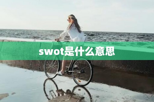 swot是什么意思