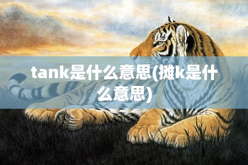 tank是什么意思(摊k是什么意思)