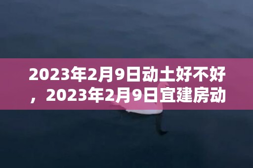2023年2月9日动土好不好，2023年2月9日宜建房动土吗