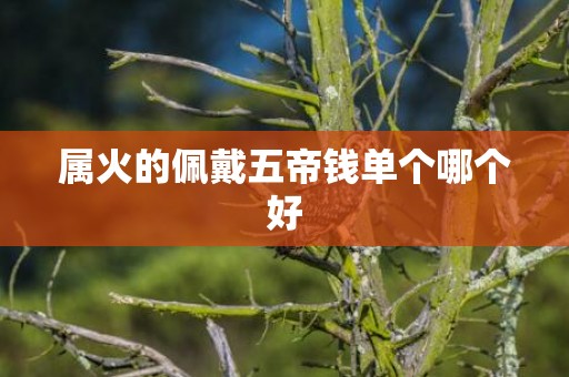 属火的佩戴五帝钱单个哪个好