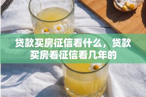 贷款买房征信看什么，贷款买房看征信看几年的