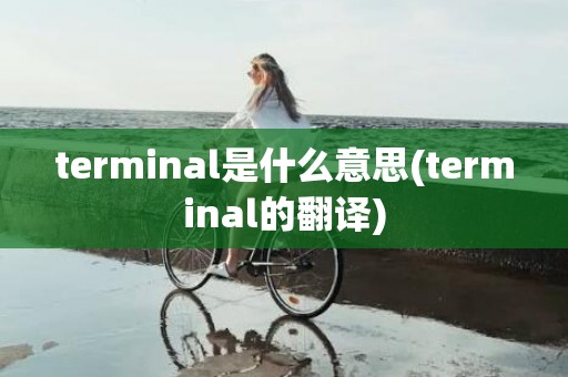 terminal是什么意思(terminal的翻译)