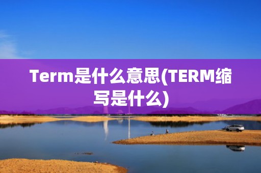 Term是什么意思(TERM缩写是什么)