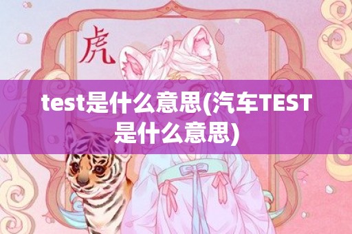 test是什么意思(汽车TEST是什么意思)