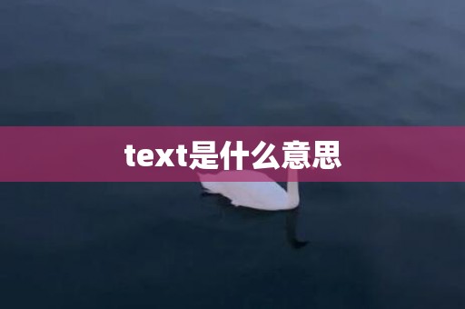 text是什么意思