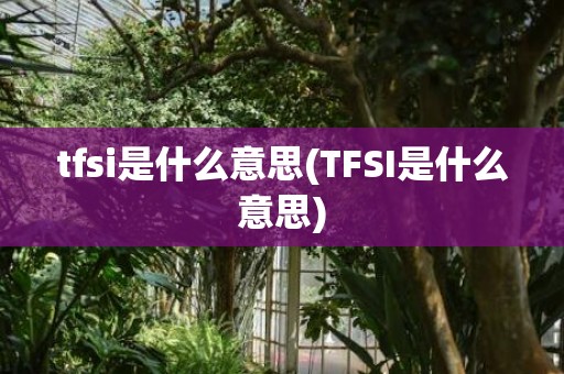 tfsi是什么意思(TFSI是什么意思)