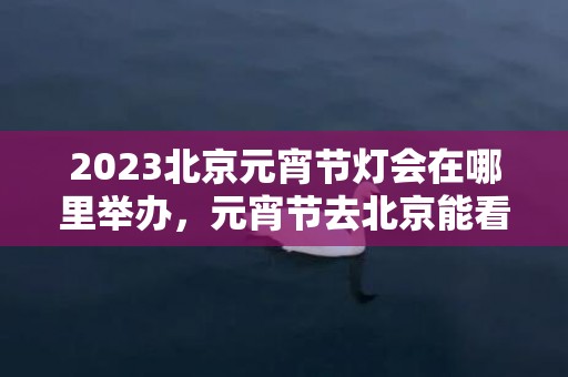 2023北京元宵节灯会在哪里举办，元宵节去北京能看到什么样的灯