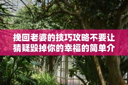 挽回老婆的技巧攻略不要让猜疑毁掉你的幸福的简单介绍