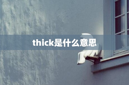 thick是什么意思