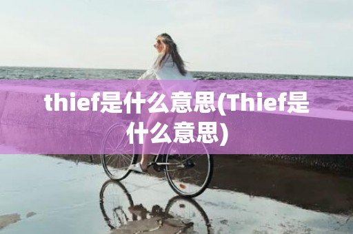 thief是什么意思(Thief是什么意思)
