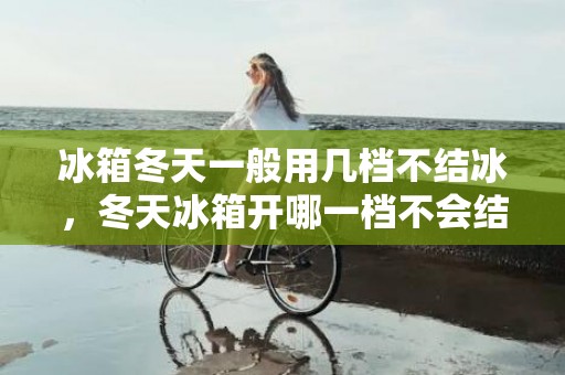 冰箱冬天一般用几档不结冰，冬天冰箱开哪一档不会结冰