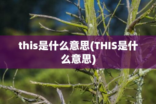 this是什么意思(THIS是什么意思)