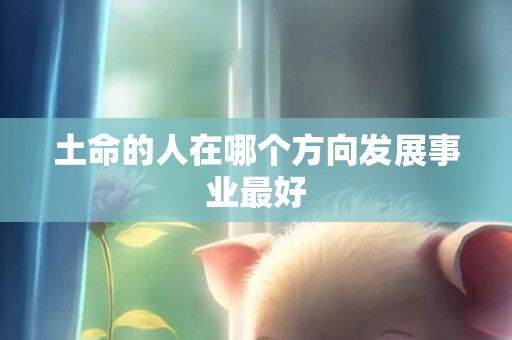 土命的人在哪个方向发展事业最好