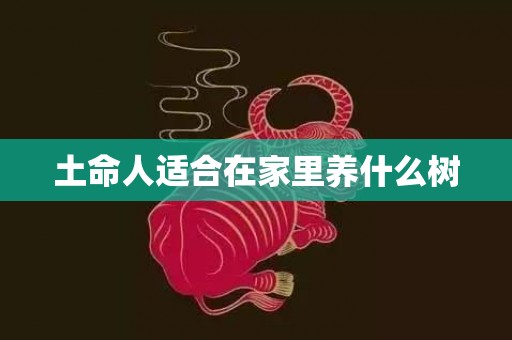 土命人适合在家里养什么树