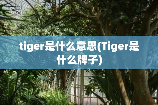 tiger是什么意思(Tiger是什么牌子)