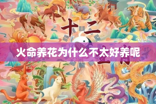 火命养花为什么不太好养呢