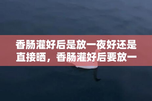 香肠灌好后是放一夜好还是直接晒，香肠灌好后要放一晚再晒吗