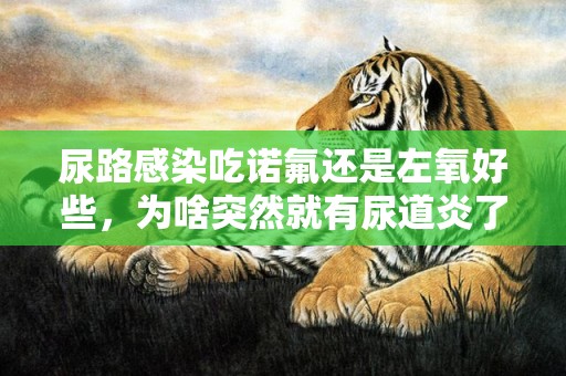 尿路感染吃诺氟还是左氧好些，为啥突然就有尿道炎了