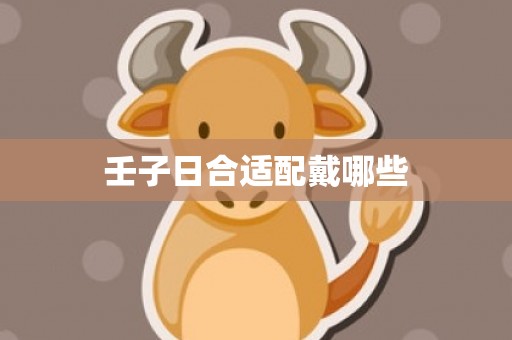 壬子日合适配戴哪些
