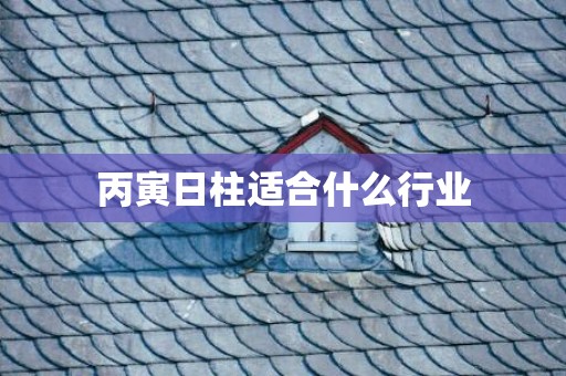 丙寅日柱适合什么行业