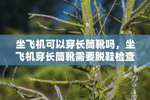 坐飞机可以穿长筒靴吗，坐飞机穿长筒靴需要脱鞋检查吗
