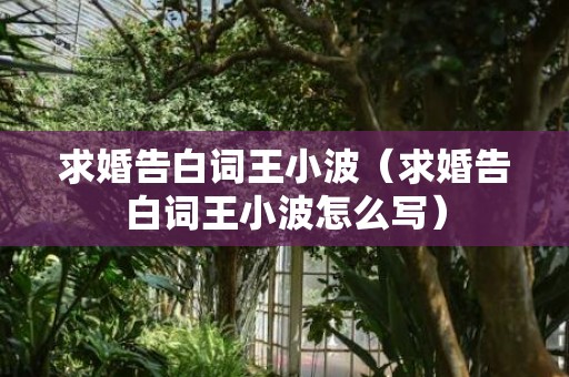 求婚告白词王小波（求婚告白词王小波怎么写）