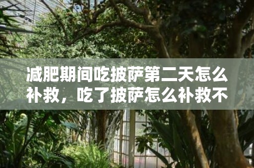 减肥期间吃披萨第二天怎么补救，吃了披萨怎么补救不会胖